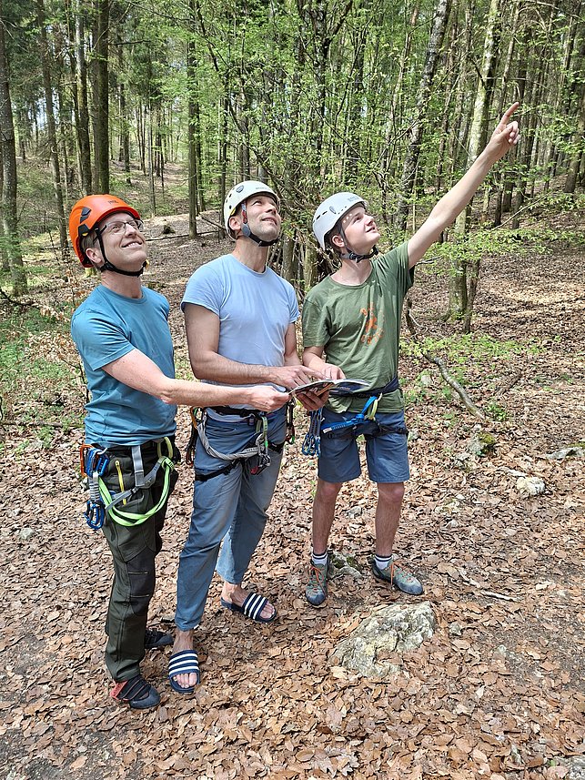 Drei Personen mit Kletterausrüstung stehen im Wald. Sie tragen Helme und schauen gemeinsam nach oben, während eine Person in die Höhe zeigt. Ihr Blick folgt offensichtlich etwas im Baum oder an den Felsen.